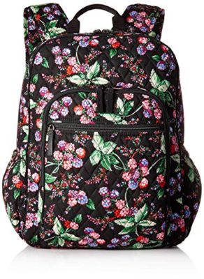 backpacks with trolley sleeve