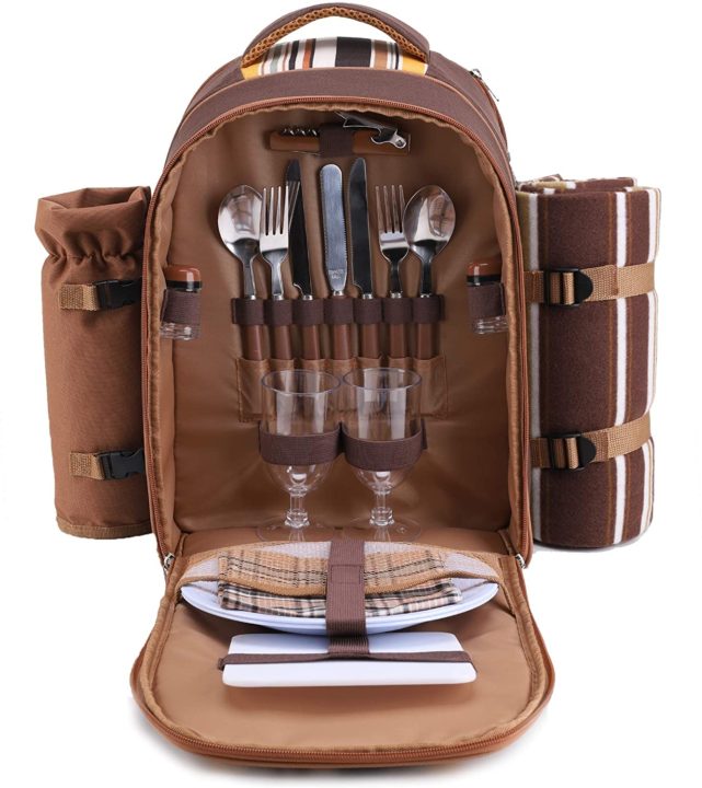 best picnic backpack 2020