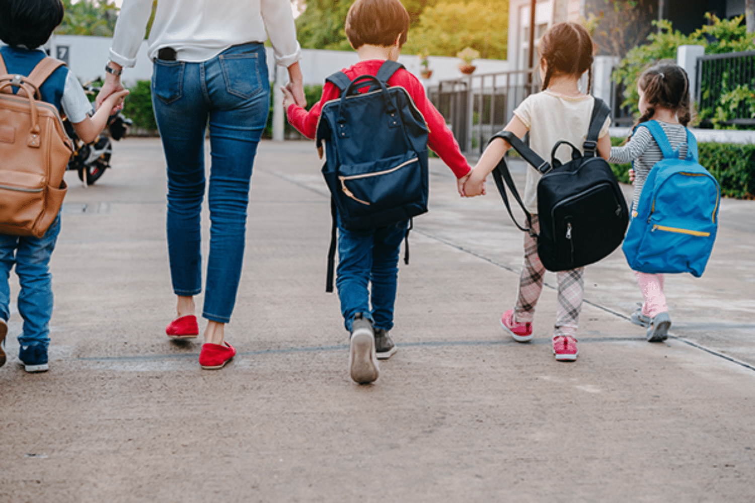 The Best Backpack for First Grade: Top Picks for Comfort and Durability