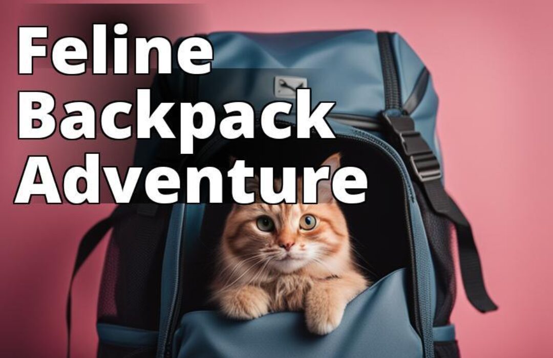 A featured image could be a photo of a cat comfortably sitting inside a backpack with its head pokin